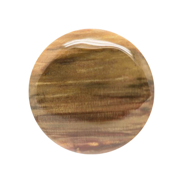 Cabochon Legno Fossile - 18 mm