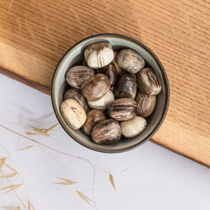 Burattato Legno Fossile